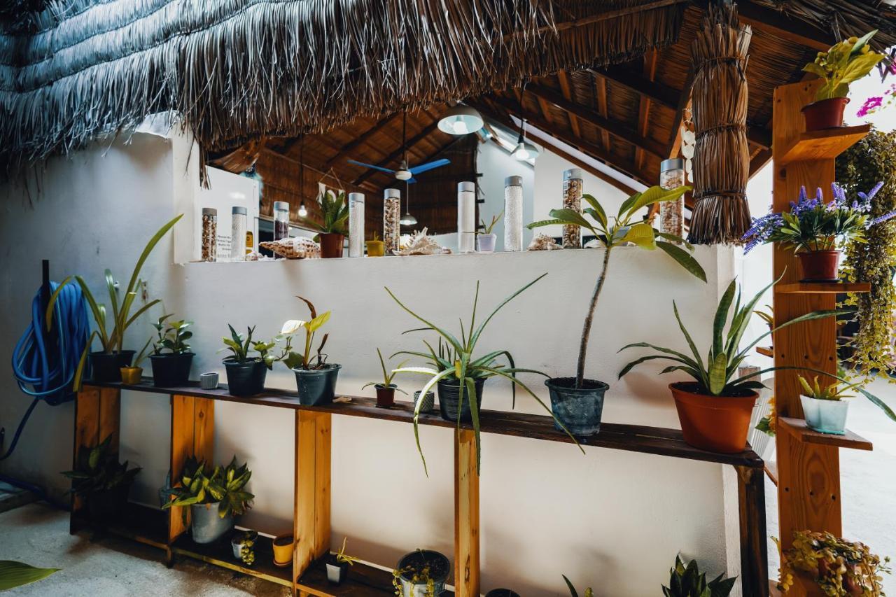Rasdu View Inn Rasdhoo Экстерьер фото